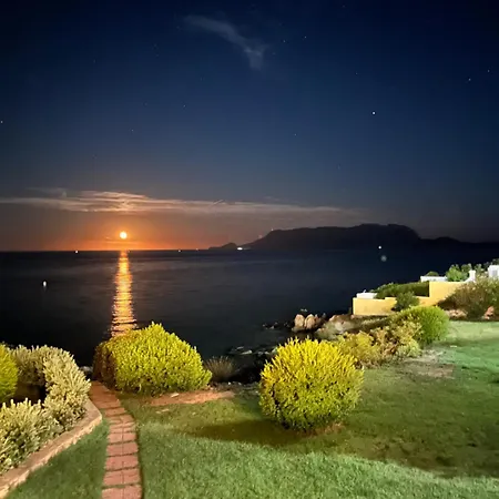 Bados